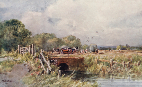 Haymaking (colour litho)