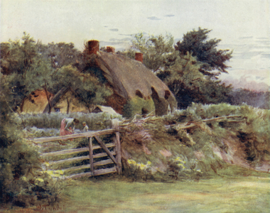 The New Forest: Cottage near Brokenhurst (colour litho)