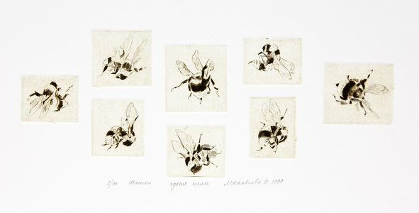 Bumblebees, 1997 (drypoint)
