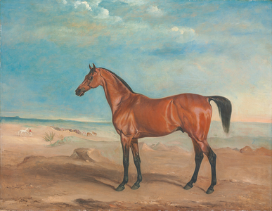 The Arab stallion 'Orelio' in a desert landscape, 1833 (oil on canvas)