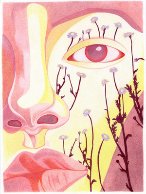 Up Close, 2022, colored pencil and marker on cotton paper