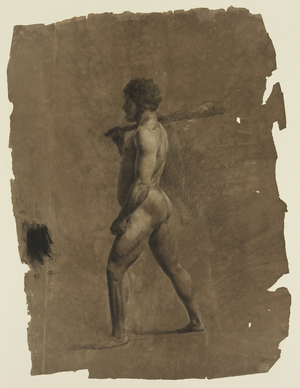 Standing Nude Male Figure (chalks on paper)