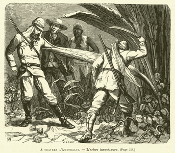 A Travers L'Australie (engraving)