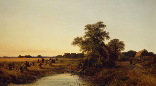 Harvest Time (oil on canvas)