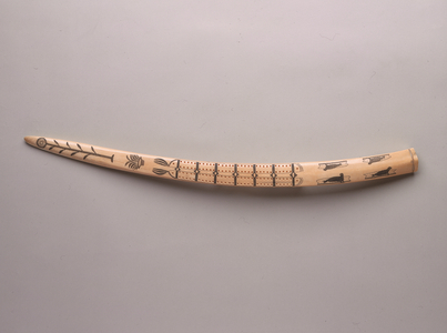 Map of the West Coast of Alaska engraved on a Walrus tusk (ivory)