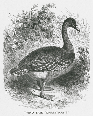 "Who said 'Christmas'?" (engraving)
