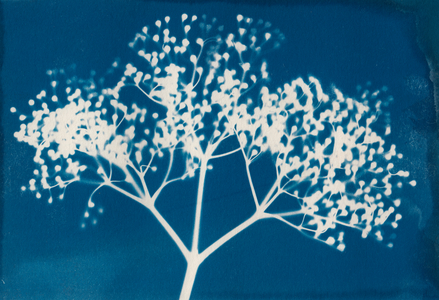 Letters, 2014 (woodtype printing on paper)