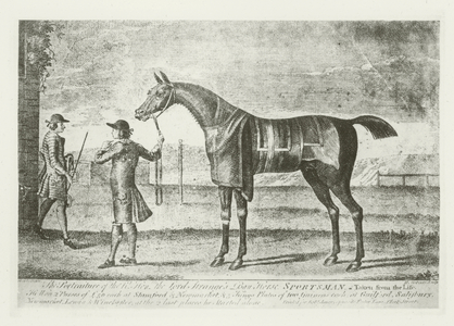 Sportsman, foaled 1747 (b/w photo)