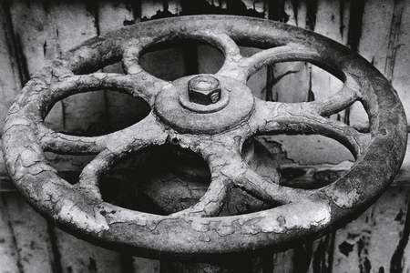 Ordered World 1 (b/w photo)