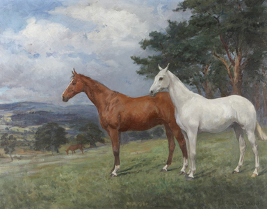 Two Horses in a Landscape: a Chestnut and a Grey Hunter, 1922 (oil on canvas)