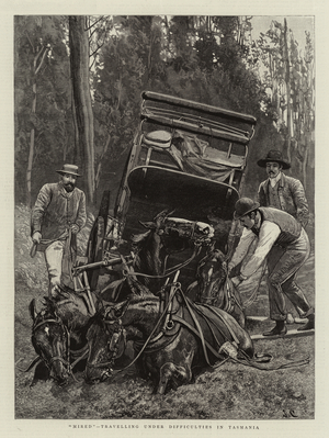 "Mired", travelling under difficulties in Tasmania (engraving)