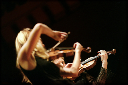 Australian Chamber Orchestra string