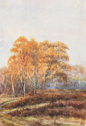 New Forest: The Birches at Faircrop, Early November (colour litho)