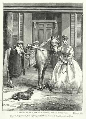 The Princess of Wales, the Royal Children, and the Danish Pony (engraving)