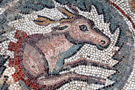 Villa Romana del Casale, Piazza Armerina, Sicily, Italy. Mosaic detail.