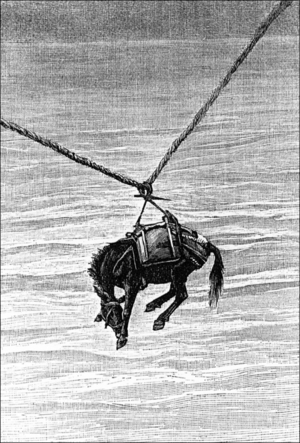 China: Transporting a mule across the Lancang (Upper Mekong) c. 1895