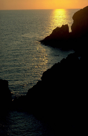 Coast of Cinque Terre, 1990 (photo)