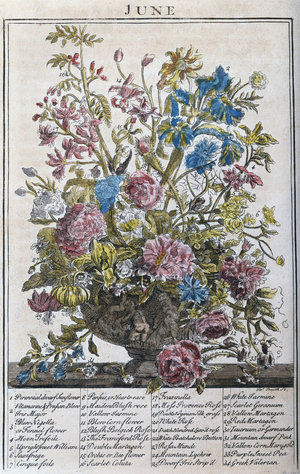 Flower Bouquet - June 19th Century Artist Unknown Lithograph
