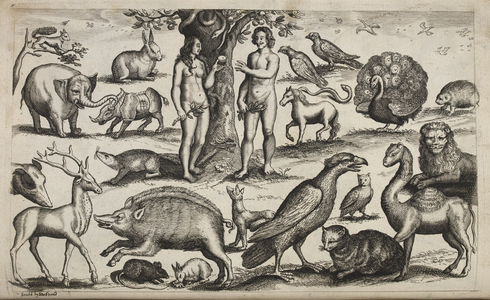 Adam and Eve, and various animals