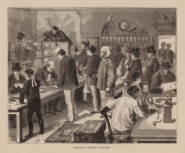 Training Homing Pigeons (engraving)