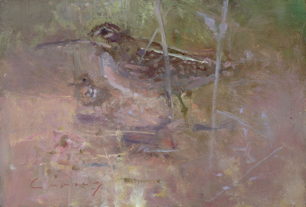 Snipe & Chick (oil on board)
