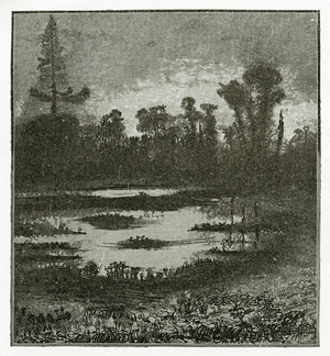 Les Chants du Crépuscule, 19th Century (b/w engraving)