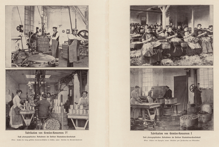 Production of canned vegetables (b/w photo)