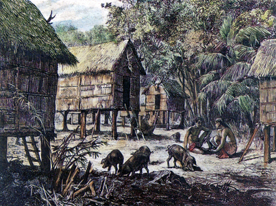 Laos: A Kha village