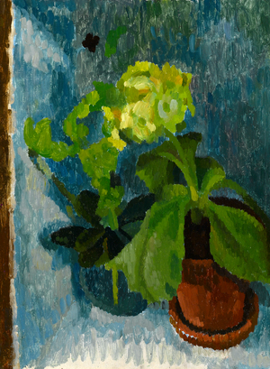Still life with Auricular and Euphorbia, c.1960 (oil on canvas)