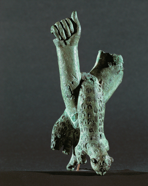 Human arm draped with a panther skin …