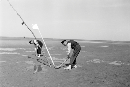 Regional custom: Duhner Wattrennen horserace at Duhnen near Cuxhaven, Germany 1930s (b/w photo)