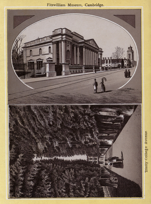 Cambridge: Fitzwilliam Museum, Cambridge, Trinity College Avenue (litho)