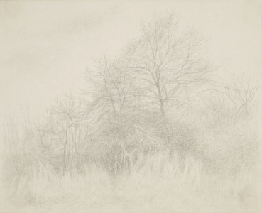 Corner of a Field, 1968 (drawing)