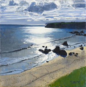 Sango Bay, 2011 (oil on canvas)