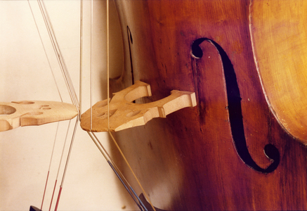 Cello bridges - stringed instrument