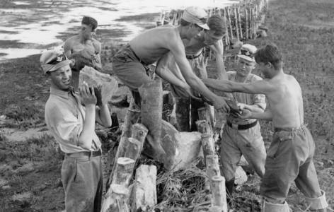 Third Reich - Reich Labor Service in action 1934 (photo)