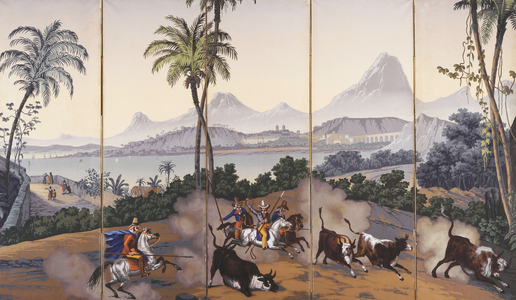 Vues de Bresil, c.1829-35 (woodblock print in colours)