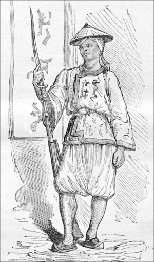 Vietnam:  A Vietnamese infantryman, Tonkin Campaign (1883-1886)