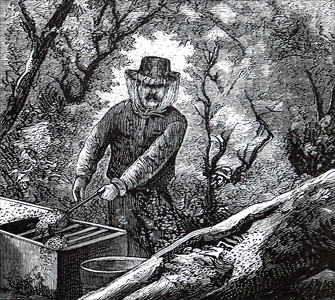 A beekeeper.