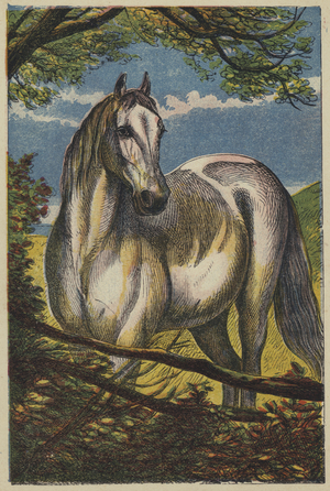 The Horse (colour litho)