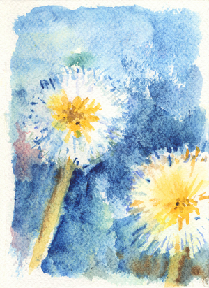 Soffioni, 1990-2020 (watercolour)