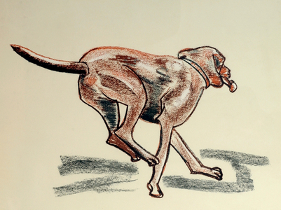 Daisy With a Bone 1990 (charcoal and chalk)