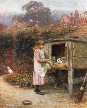 The Rabbit Hutch (colour litho)