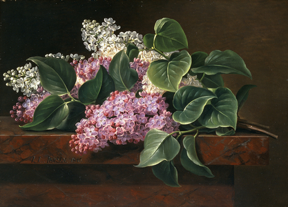 Lilac on a Ledge,  (oil on canvas)