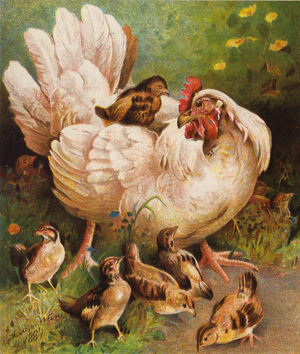 A Happy Mother (colour litho)