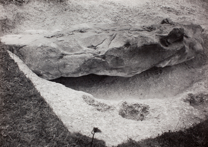 Rock recessed in grass, 1931-46 (photo)
