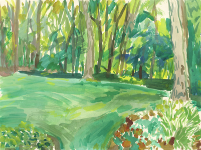 Garden and wetland, 2018 (watercolour on paper)