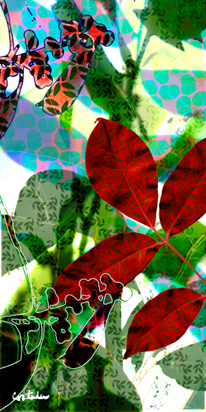 Native Canopy: Five, 2009, (sublimation dye on fabric, edition 1 of 1)