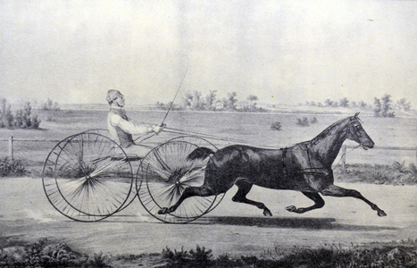 Currier & Ives Illustration 19th Century. Flora Temple