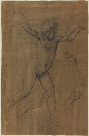 An Angel in Flight, c.1594 (black chalk and graphite on brown prepared paper)